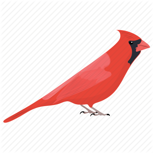 512x512 Bird, Common Cardinal, Northern Cardinal, Red Cardinal, Redbird Icon
