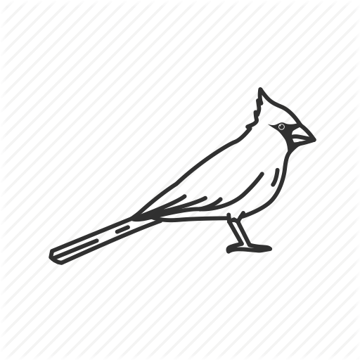 512x512 Birds, Illinois, North Carolina, Northern Cardinal, Ohio, Virginia