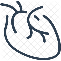256x256 Cardiology Icon Of Line Style