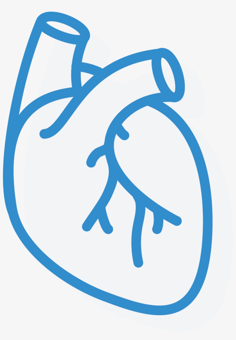 820x1178 Cardiology Icon