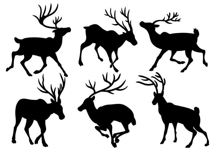 700x490 Caribou Vector Icons