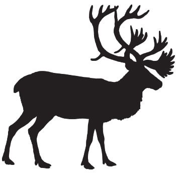 350x350 Free Head Clipart Caribou, Download Free Clip Art