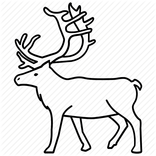 512x512 Antlers, Caribou, Elk, Hunting, Reindeer, Stag, Trophy Icon