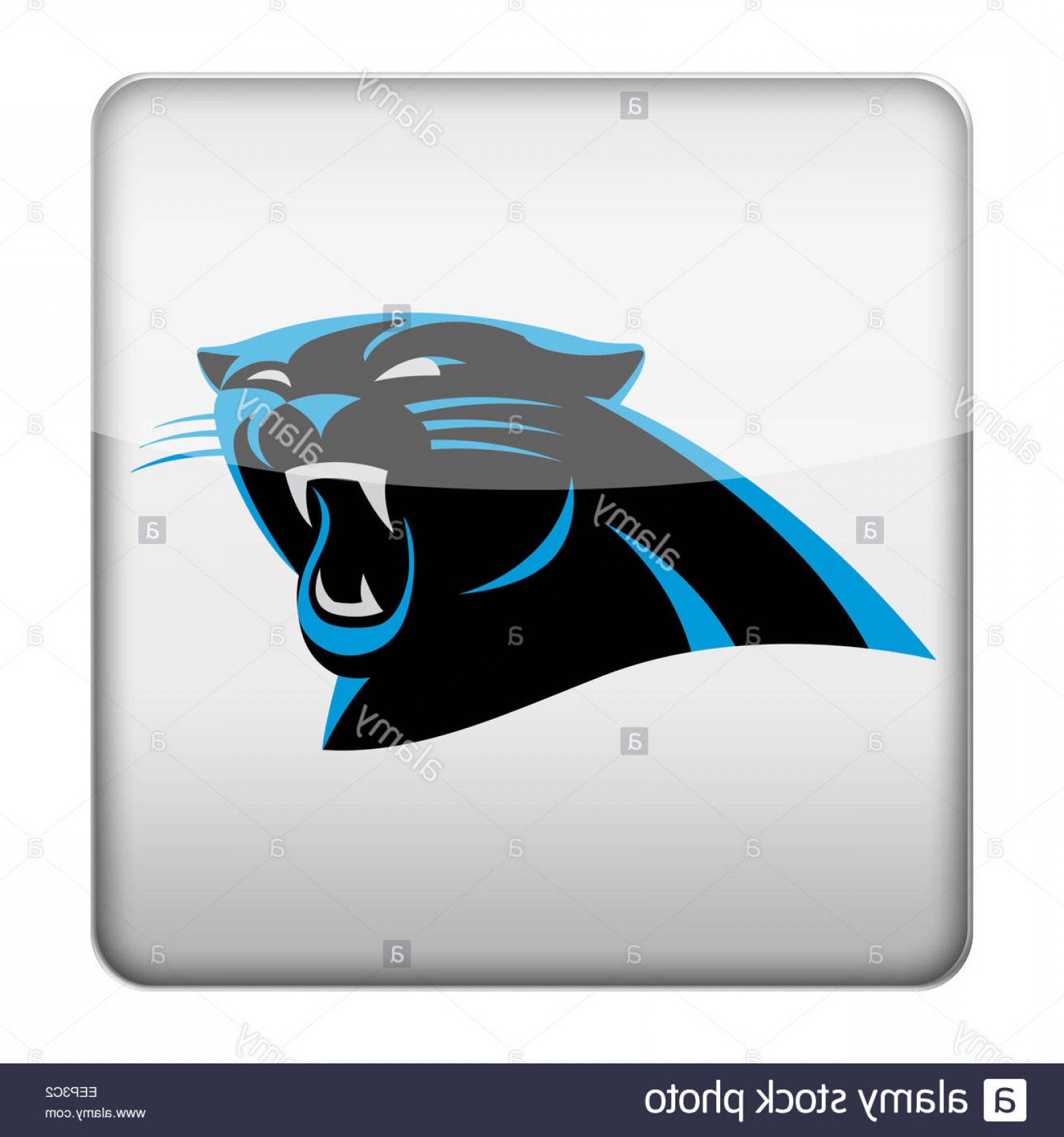 1560x1668 Carolina Panthers Vector Hoodamath