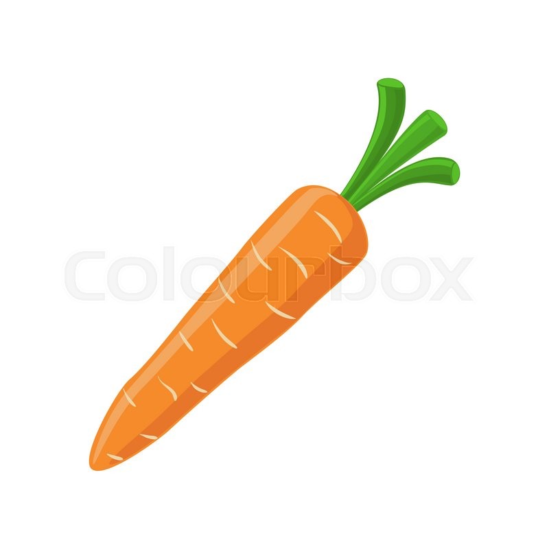 800x800 Carrot Icon Isolated On White Stock Vector Colourbox