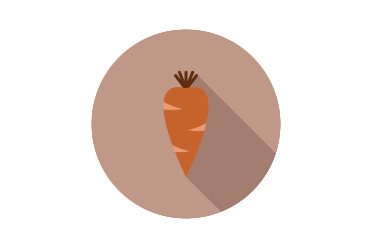 750x500 Carrot Icon