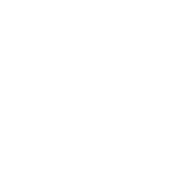 256x256 White Carrot Icon