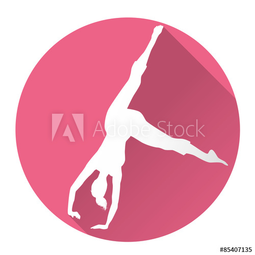500x500 Cartwheel Icon