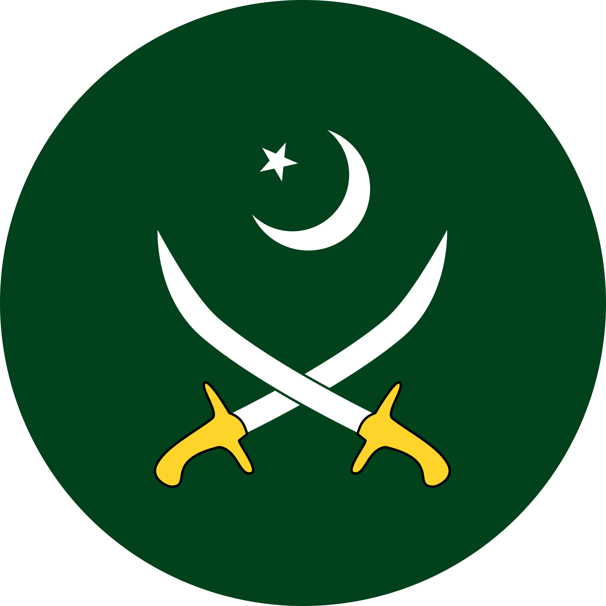 2000x2000 Pakistan Army