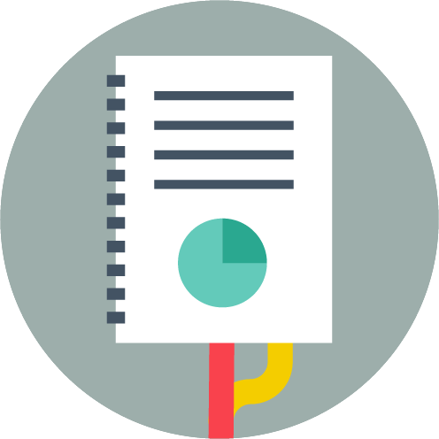 496x496 Icon Case Study