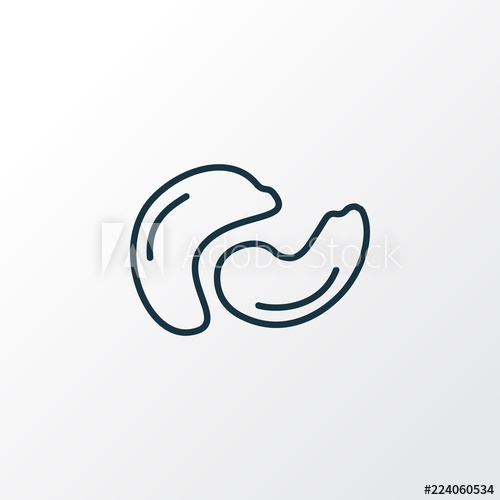 500x500 Cashew Icon Line Symbol Premium Quality Isolated Nutrition