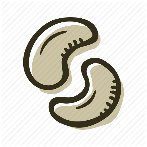512x512 Cashew, Food, Healthy, Nut, Protein, Snack Icon