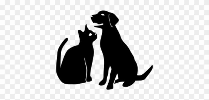 You Can Also Contact Kenton County Animal Shelter 840x403 You Can Also Contact Kenton County Animal Shelter