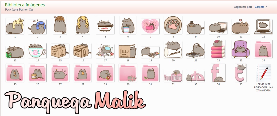 1177x495 Icons Pusheen Cat B