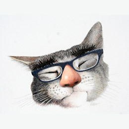 260x260 Murfee Cat Favicon Master