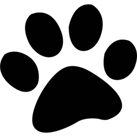 270x270 Cats For Adoption Paws Of Coronado