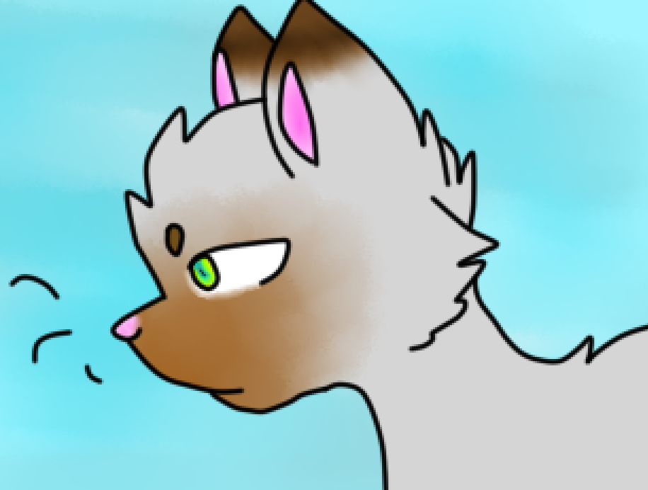 916x692 Male Cat Head Icon