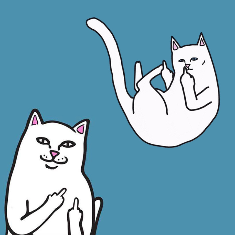 800x800 Nengdou Fashion Icons For Clothes White Cat Icon Badges