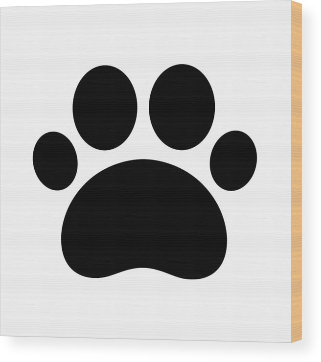 656x740 Trail Paws Vector Illustration Dog Cat Icon Logo Clipart French
