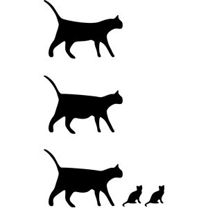 300x300 Cat Icon Clipart, Cliparts Of Cat Icon Free Download