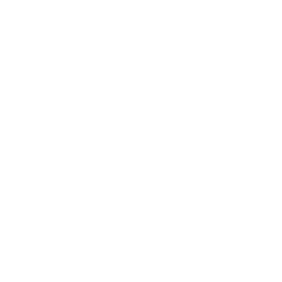 256x256 White Cat Icon