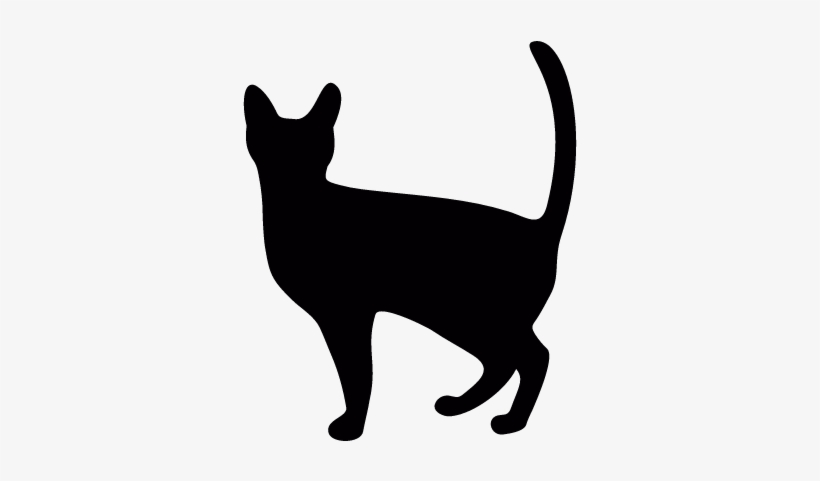 820x481 Witch Cat Vector