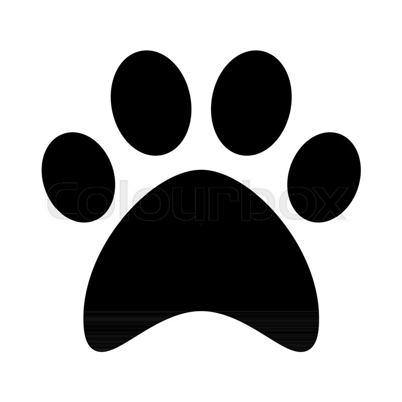 800x800 Cat, Paw Print Flat Icon And Symbol Stock Vector Colourbox