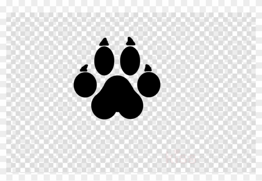 840x581 Cat Paw Prints Transparent