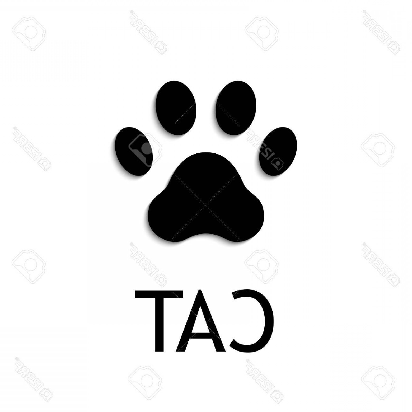 1560x1560 Photostock Vector Cat Paw Print Footprint Black Vector Icon