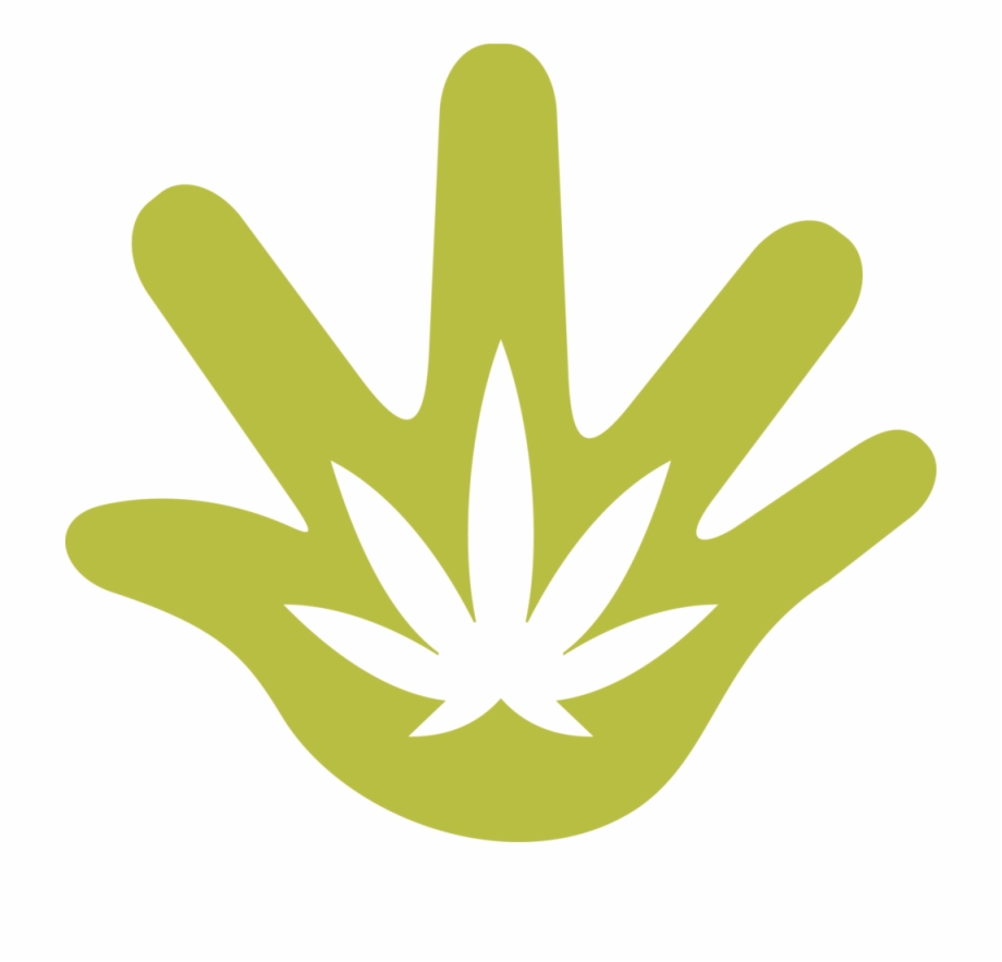 920x883 Catalyst Icon