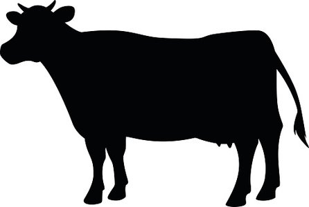 446x300 Cow Icon Premium Clipart