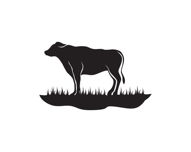 613x490 Cow Logo Template Vector Icon Illustration