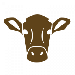 300x300 Cattle Icon Brown