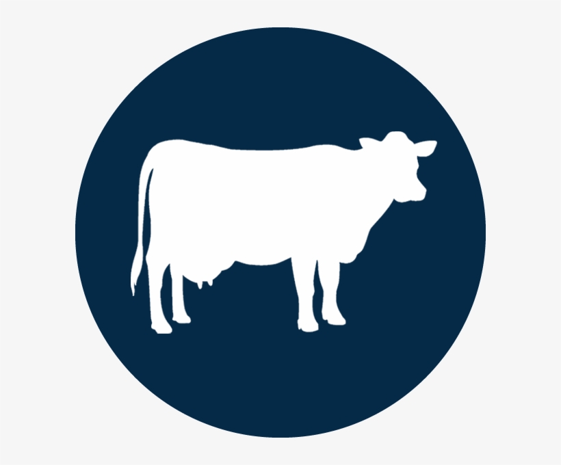 820x680 Boss Tools Icons Cows