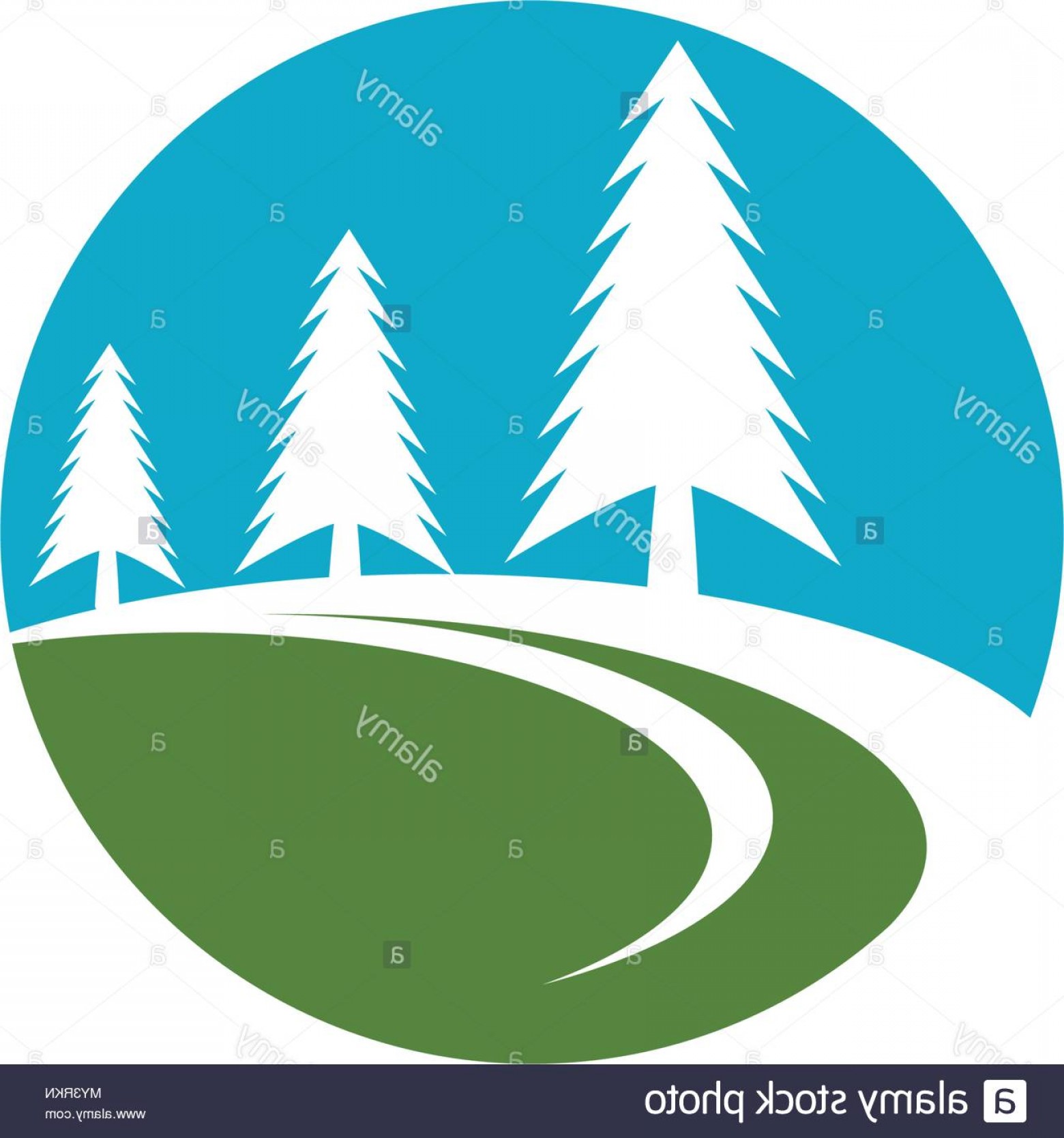 1560x1668 Cedar Tree Vector Soidergi