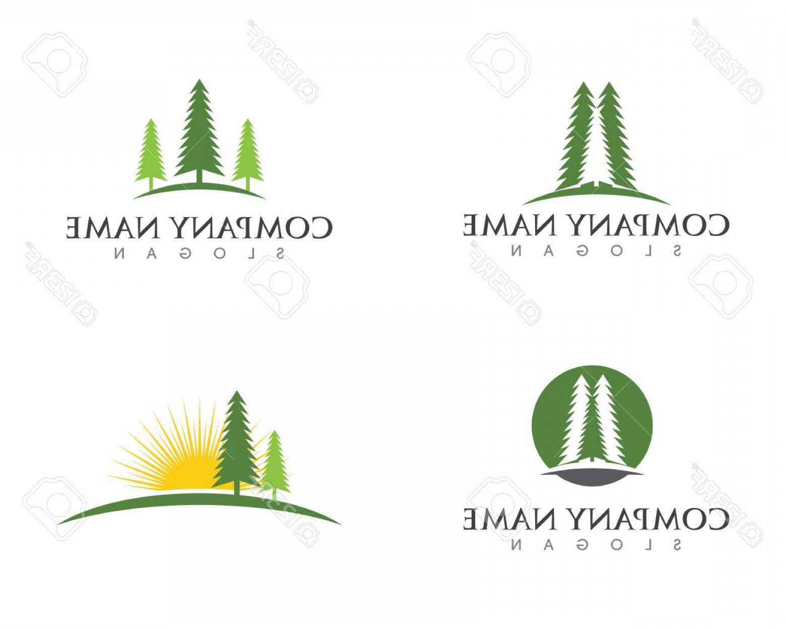 Cedar Tree Icon at Vectorified.com | Collection of Cedar Tree Icon free ...