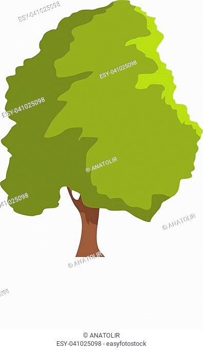 396x680 Cedar Flat Trunk Stock Photos And Images Age Fotostock