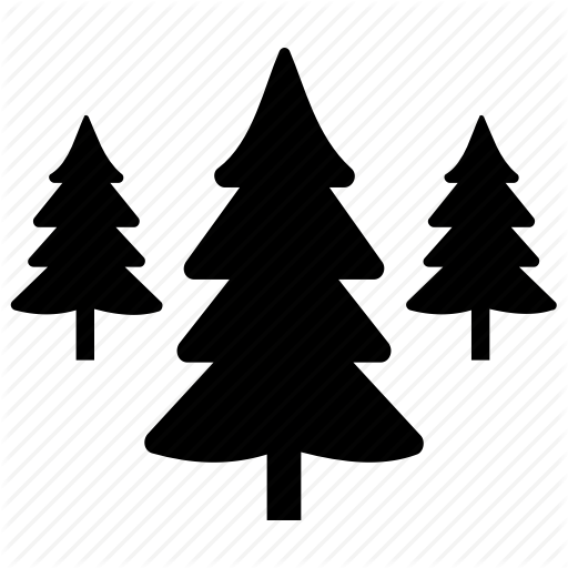 512x512 Cedar Tree, Cedar Wood, Christmas Tree, Pinaceae, Tree Icon