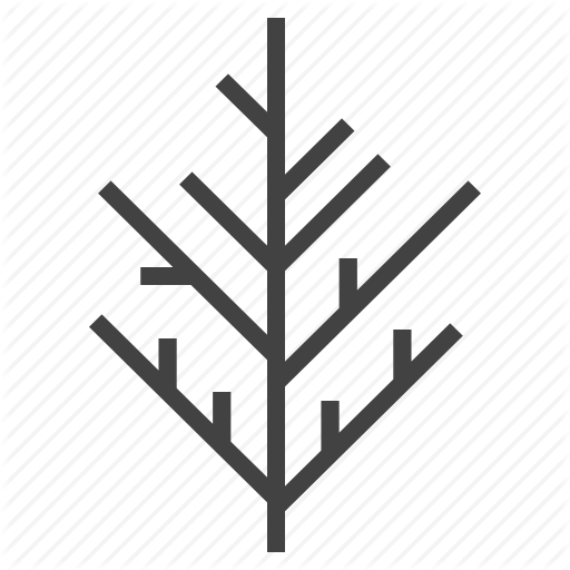 512x512 Autumn, Cedar, Leaf, Nature, Tree Icon