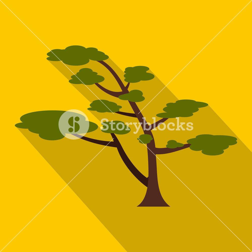1000x1000 Cedar Tree Icon Flat Illustration Of Cedar Tree Vector Icon