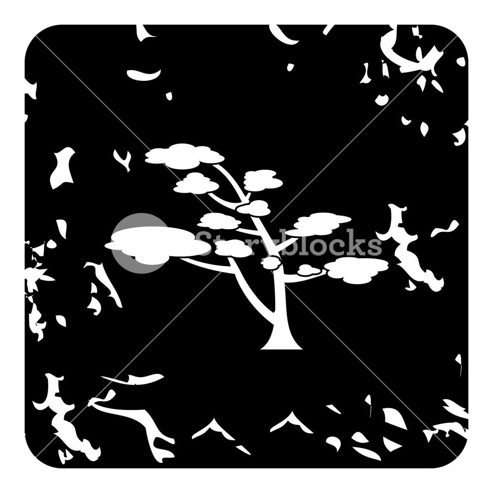 1000x1000 Cedar Tree Icon Grunge Illustration Of Cedar Tree Vector Icon