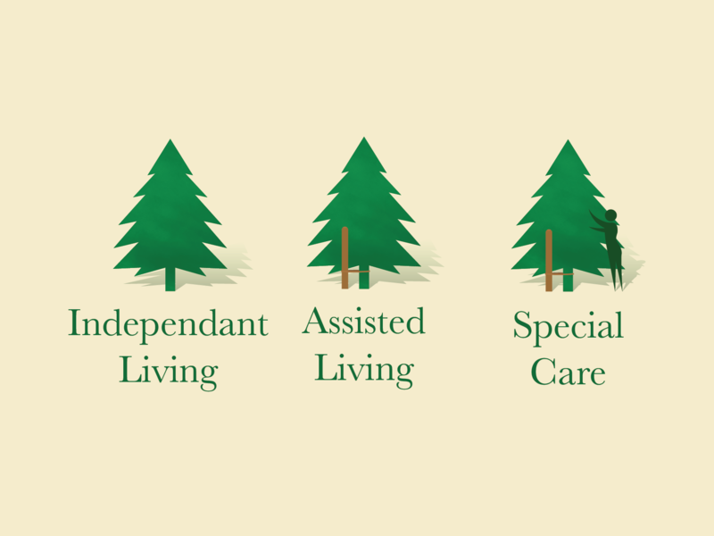 800x600 Cedars Tree Icons