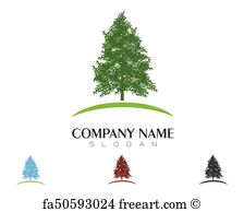 224x194 Free Art Print Of Cedar Tree Basal Trunk Part Of Old Majestic