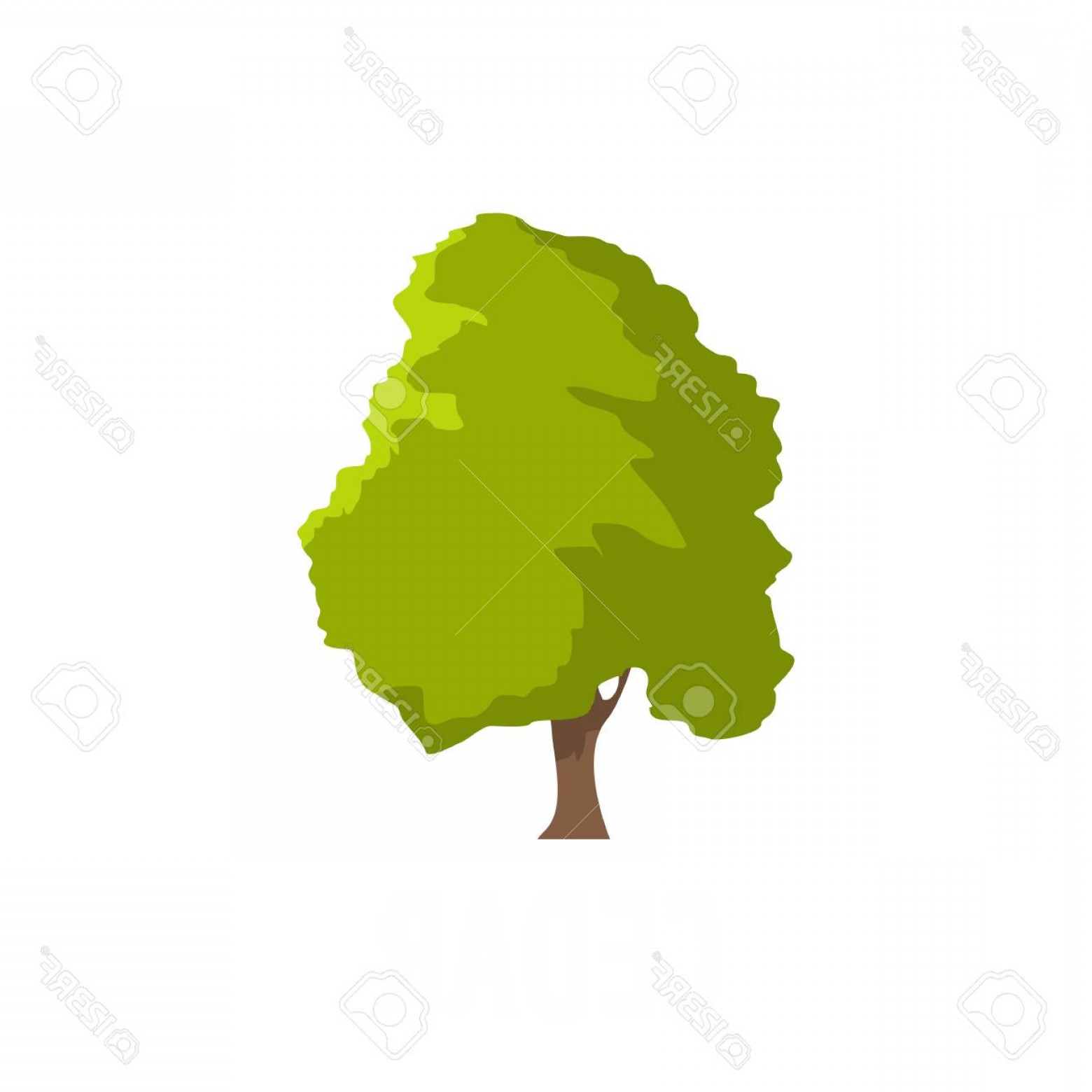 1560x1560 Photostock Vector Cedar Tree Icon Flat Illustration Of Cedar Tree