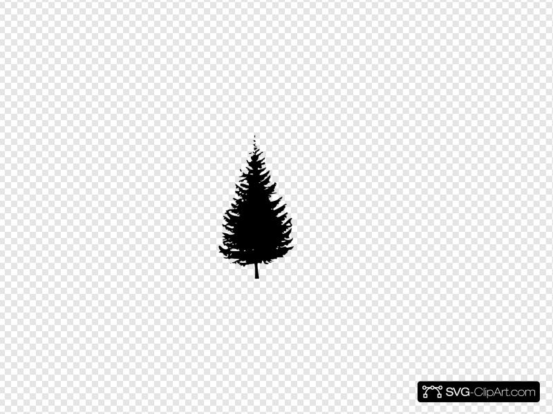 800x600 Red Cedar Tree Clip Art, Icon