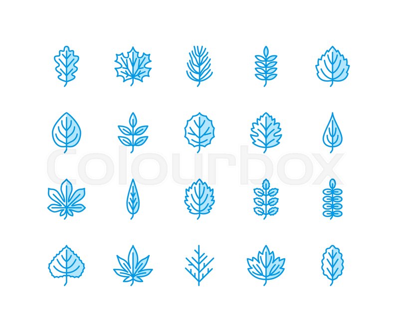 800x667 Autumn Leaves Flat Line Icons Leaf Stock Vector Colourbox