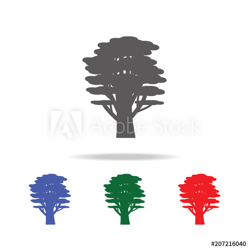 500x500 Cedar Tree Icon Elements Of Trees In Multi Colored Icons Premium