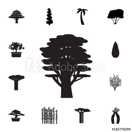 500x500 Cedar Tree Icon Set Of Silhouette Of Tree Icons Web Icons