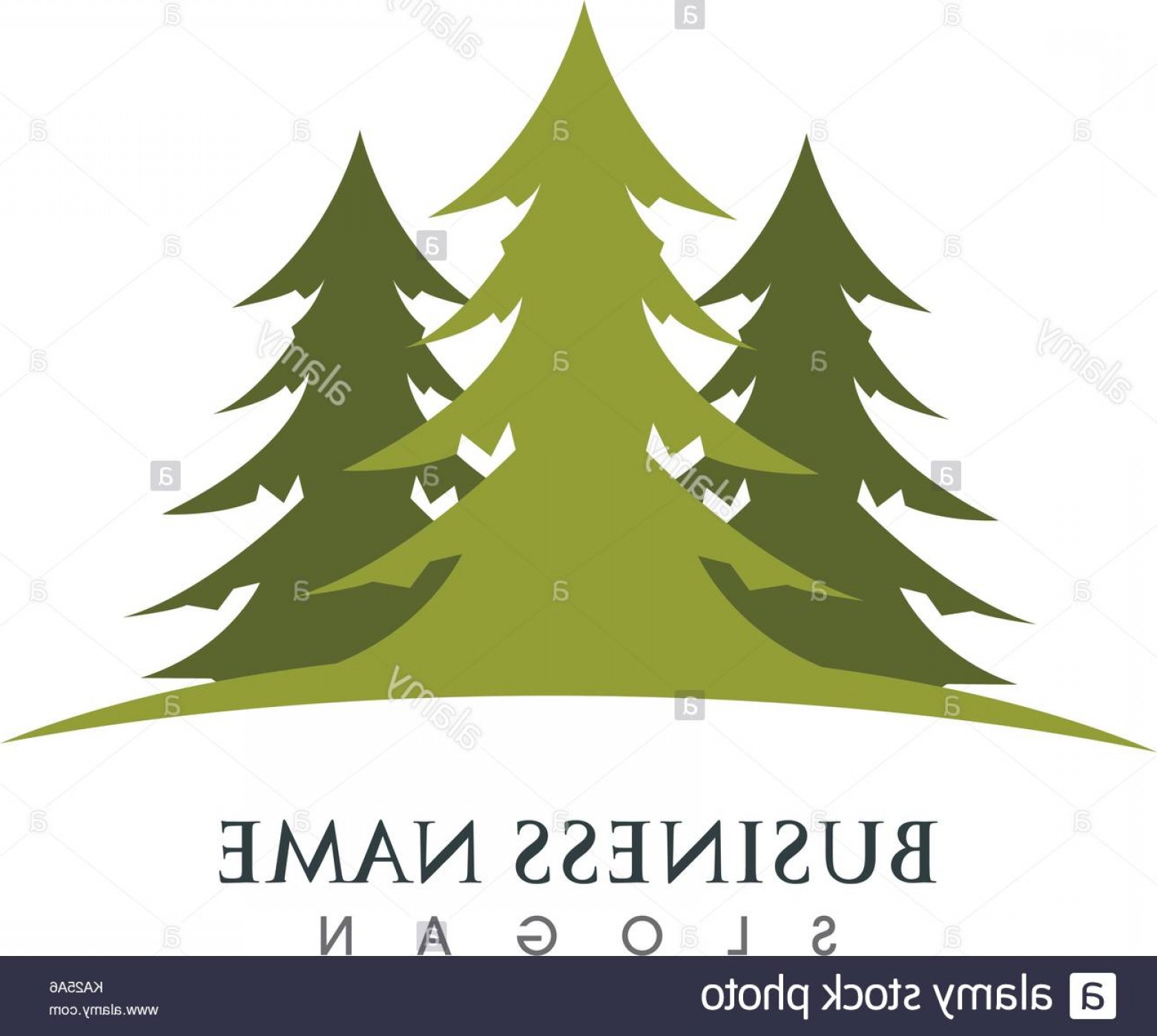 1560x1398 Black Cedar Trees Vector Catamart