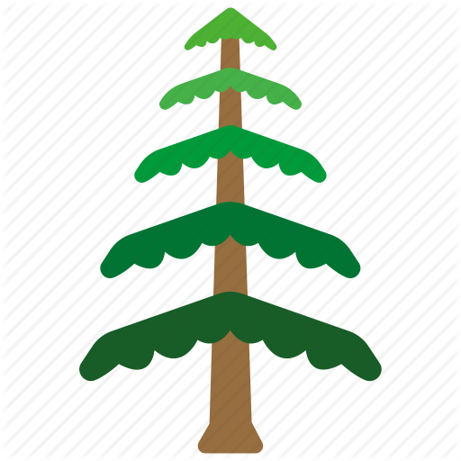 512x512 Branches, Cedar, Evergreen, Forestry, Leaves, Tree Icon